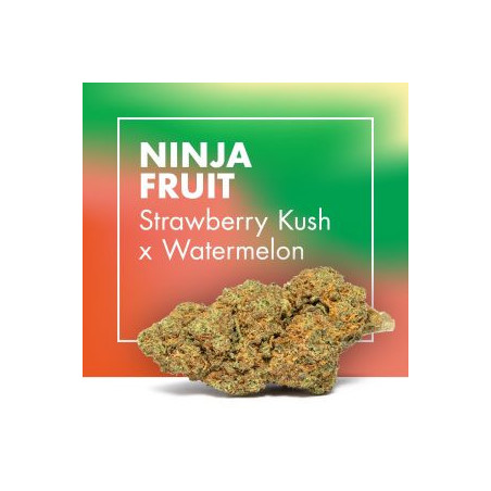 CANNACTIVA NinjaFruit  Strawberry x Watermelon 2gr