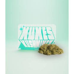 XUXES CBD KushMintz 3g