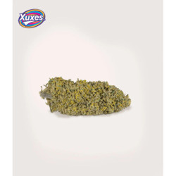 XUXES CBD Amnesia 3g