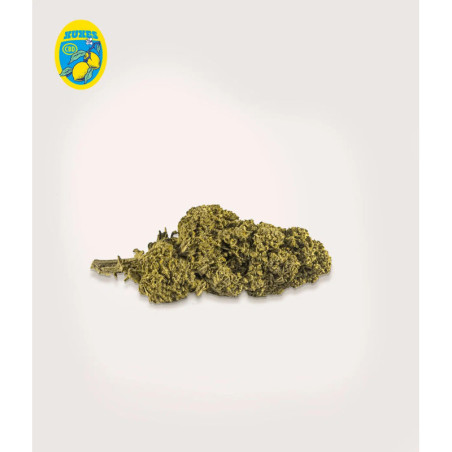 XUXES CBD Lemon 3g
