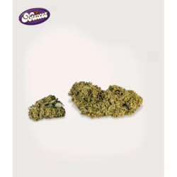 XUXES CBD Cookies 3g