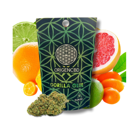 ORIGEN CBD Gorilla Glue 3gr