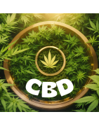 CBD